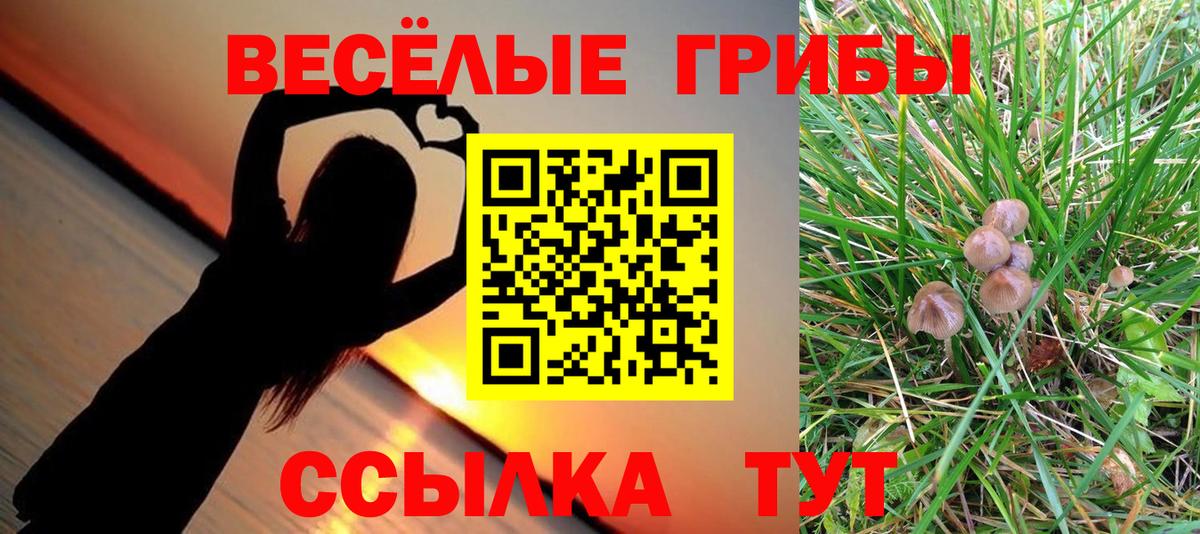 Южноуральск  Галлюциногенные грибы Psilocybine cubensis  где продают   Вход с VPN 