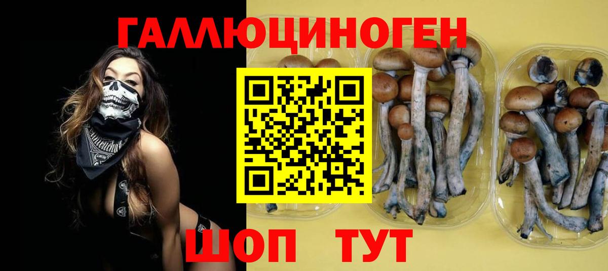 Псилоцибиновые грибы мицелий Южноуральск