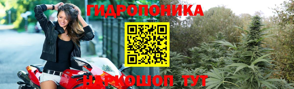 Бошки Шишки Bruce Banner Южноуральск